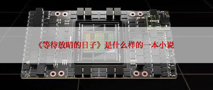 《等待放晴的日子》是什么样的一本小说