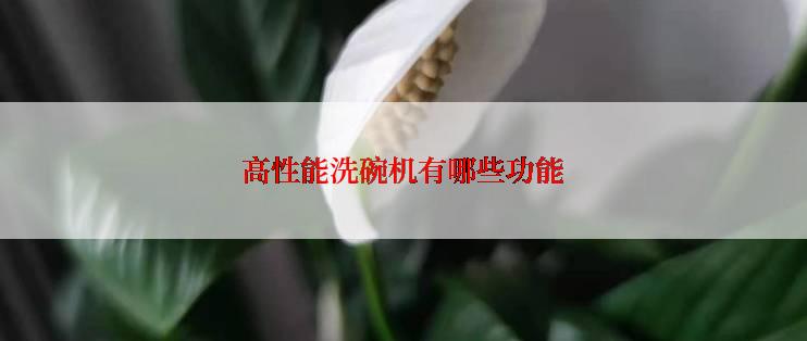 高性能洗碗机有哪些功能