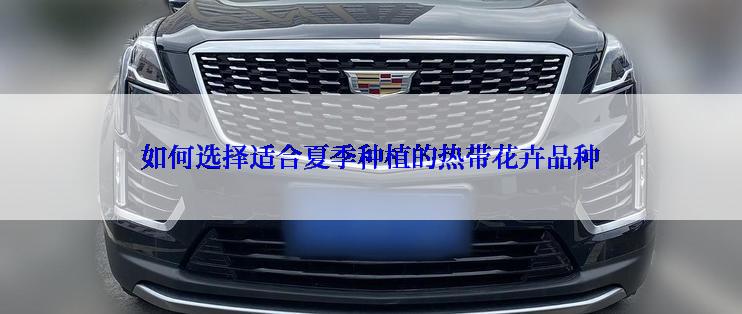 如何选择适合夏季种植的热带花卉品种