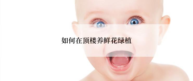 如何在顶楼养鲜花绿植