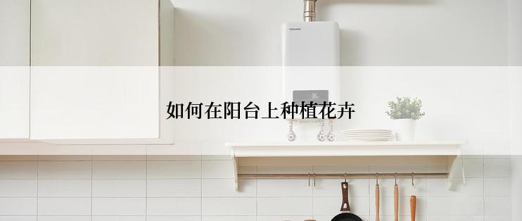 如何在阳台上种植花卉