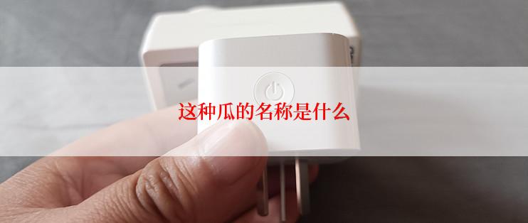 这种瓜的名称是什么