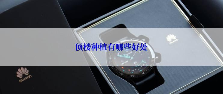 顶楼种植有哪些好处