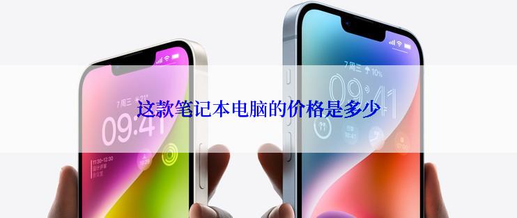 这款笔记本电脑的价格是多少