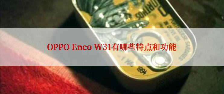 OPPO Enco W31有哪些特点和功能