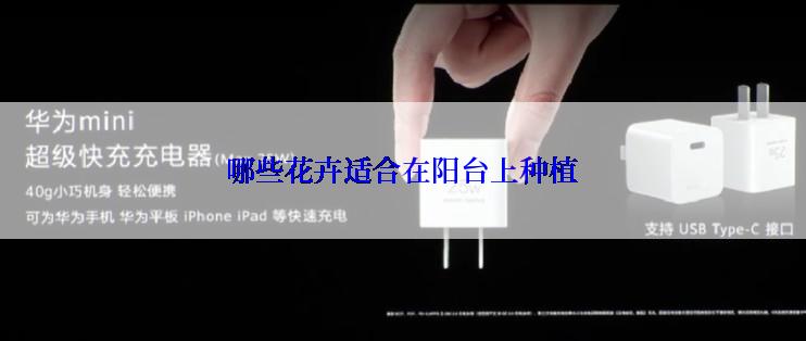 哪些花卉适合在阳台上种植
