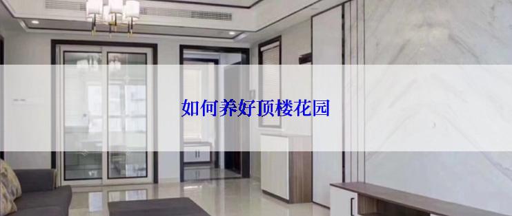 如何养好顶楼花园