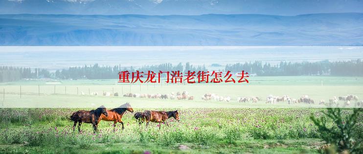 重庆龙门浩老街怎么去