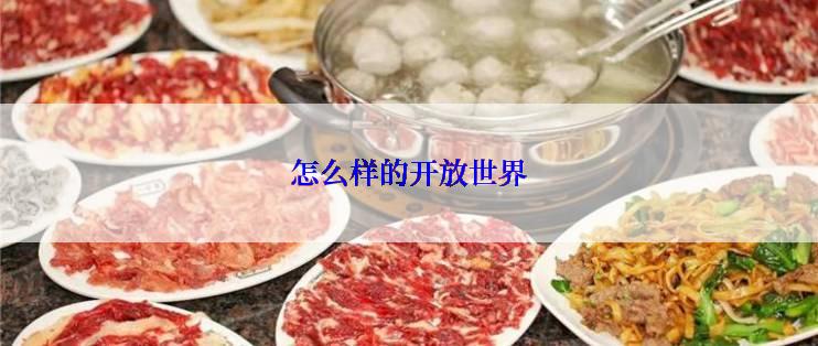 怎么样的开放世界