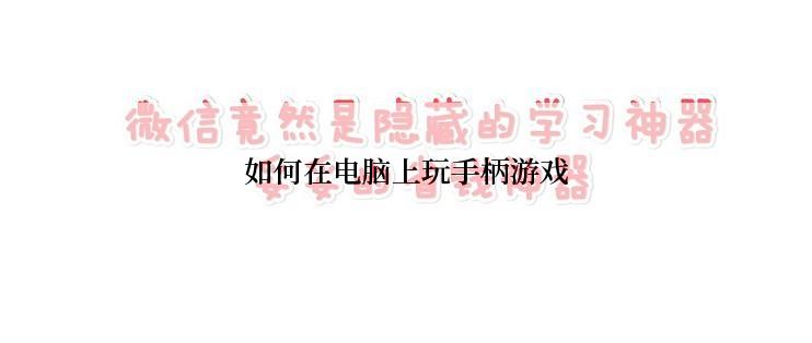 如何在电脑上玩手柄游戏