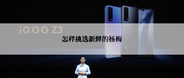 怎样挑选新鲜的杨梅