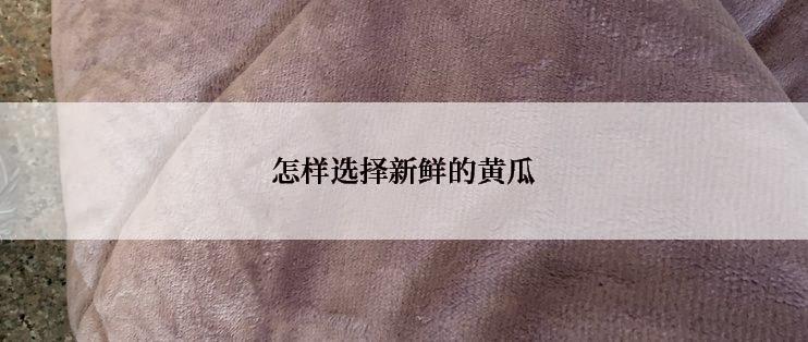怎样选择新鲜的黄瓜