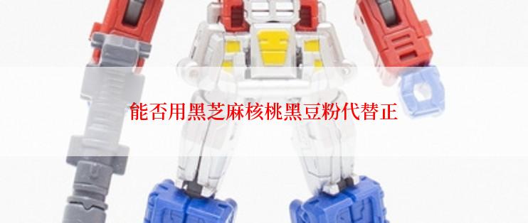 能否用黑芝麻核桃黑豆粉代替正