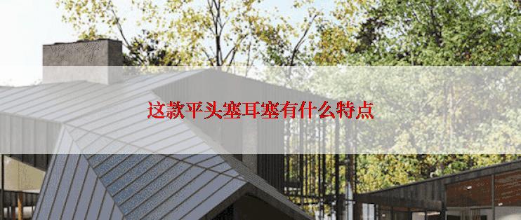 这款平头塞耳塞有什么特点