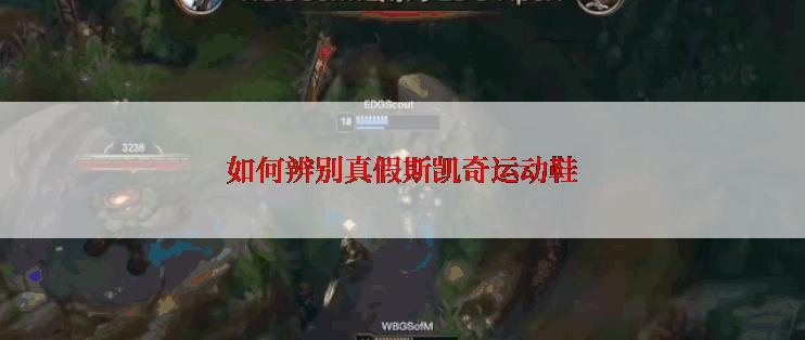 如何辨别真假斯凯奇运动鞋