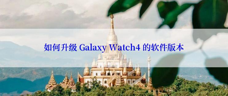 如何升级 Galaxy Watch4 的软件版本