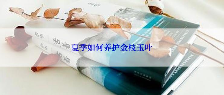 夏季如何养护金枝玉叶
