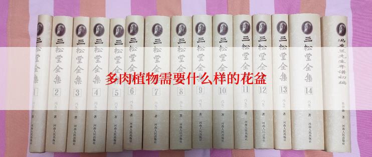 多肉植物需要什么样的花盆