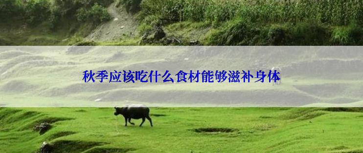 秋季应该吃什么食材能够滋补身体