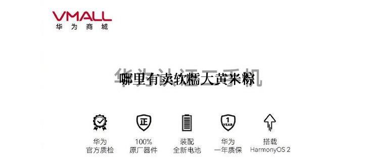 哪里有卖软糯大黄米粽