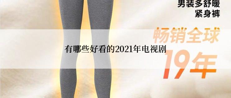 有哪些好看的2021年电视剧