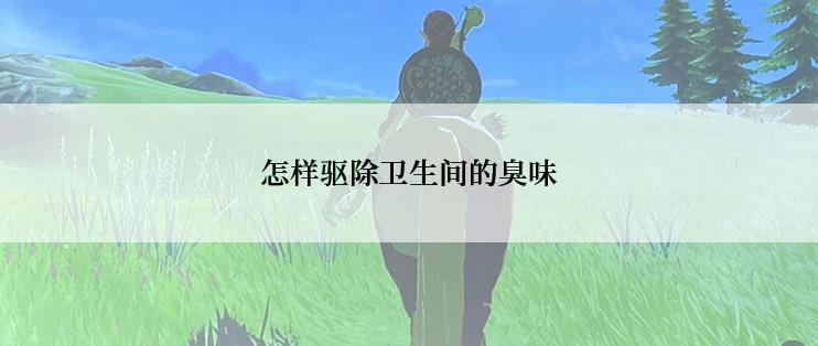 怎样驱除卫生间的臭味
