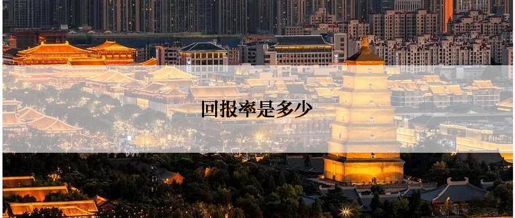 回报率是多少