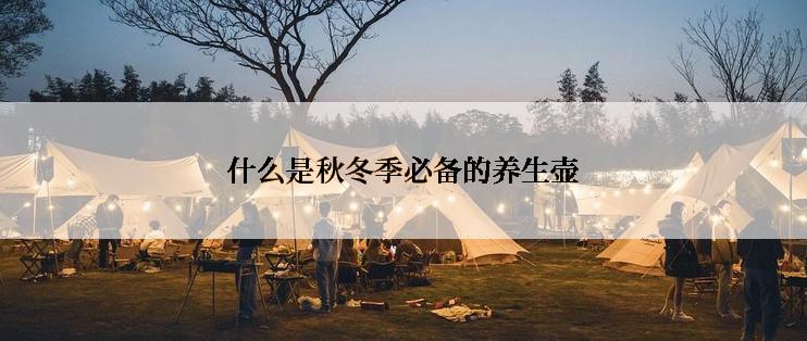 什么是秋冬季必备的养生壶