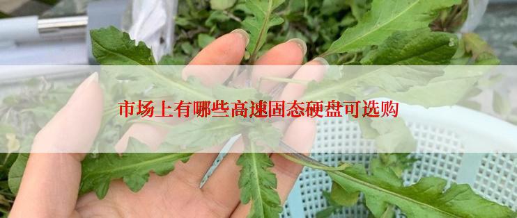 市场上有哪些高速固态硬盘可选购