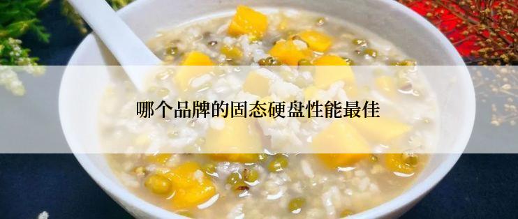 哪个品牌的固态硬盘性能最佳