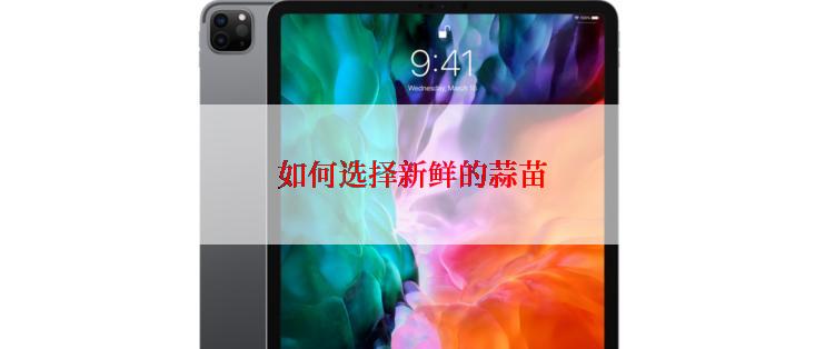 如何选择新鲜的蒜苗