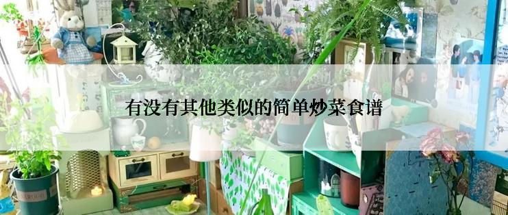 有没有其他类似的简单炒菜食谱