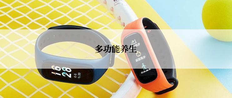 多功能养生