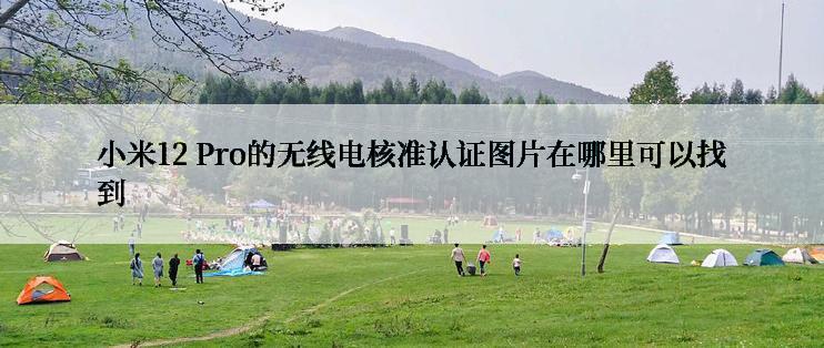 小米12 Pro的无线电核准认证图片在哪里可以找到