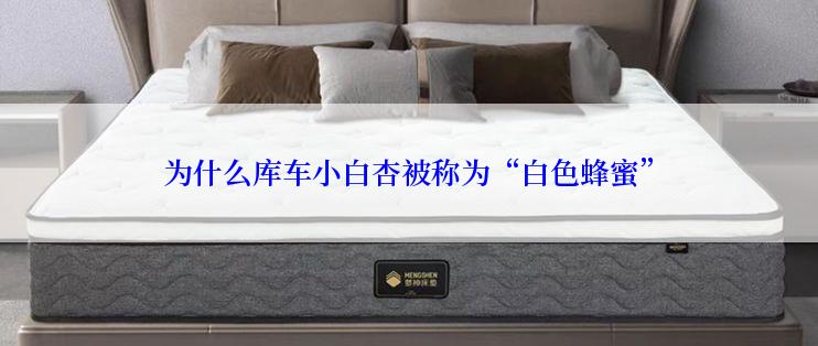 为什么库车小白杏被称为“白色蜂蜜”