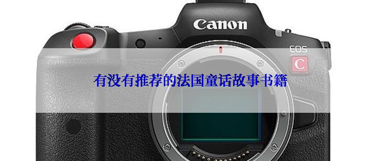 有没有推荐的法国童话故事书籍