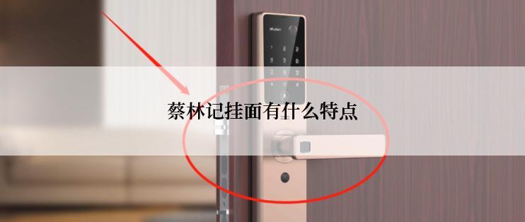 蔡林记挂面有什么特点