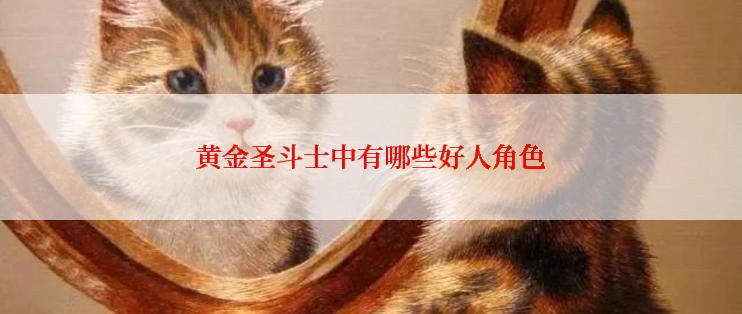 黄金圣斗士中有哪些好人角色