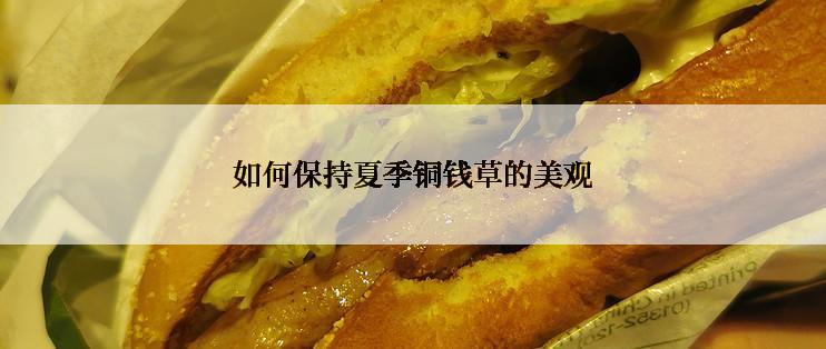 如何保持夏季铜钱草的美观