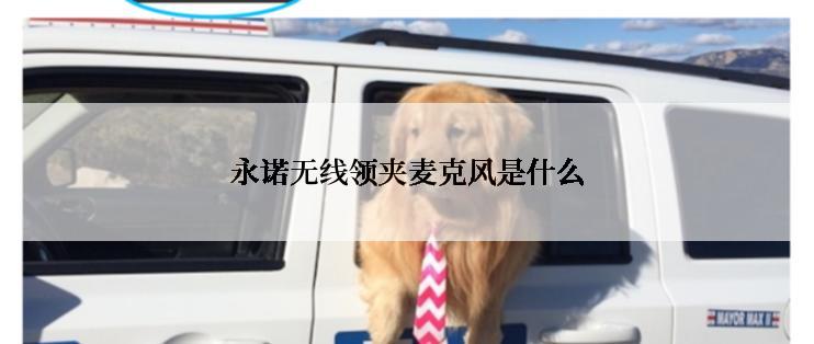 永诺无线领夹麦克风是什么