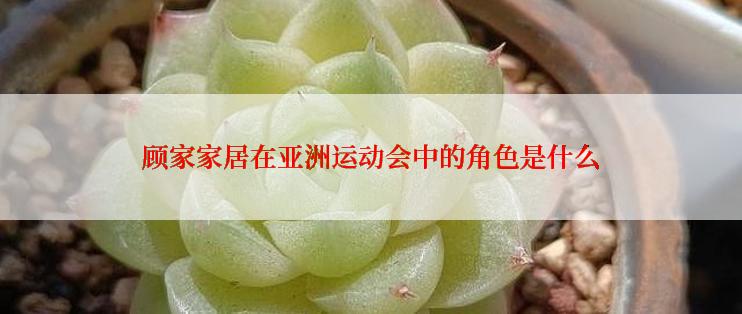 顾家家居在亚洲运动会中的角色是什么