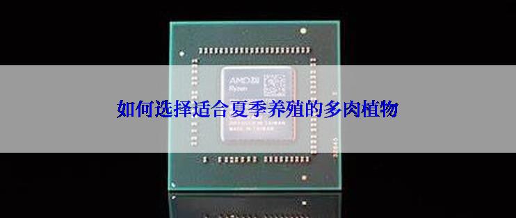如何选择适合夏季养殖的多肉植物