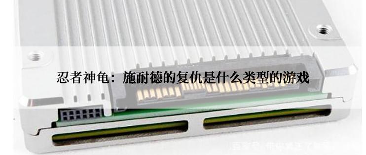 忍者神龟：施耐德的复仇是什么类型的游戏