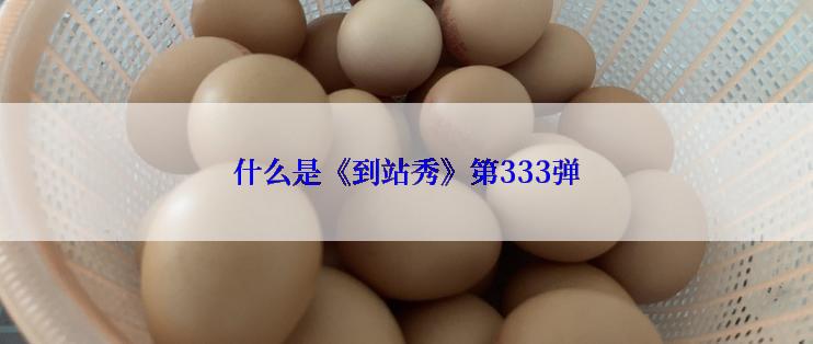 什么是《到站秀》第333弹
