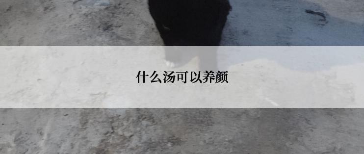 什么汤可以养颜