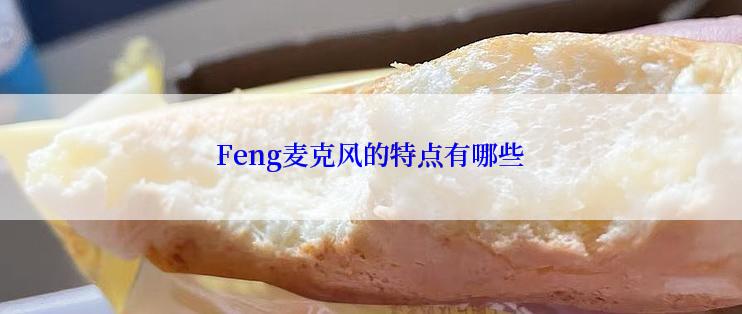 Feng麦克风的特点有哪些
