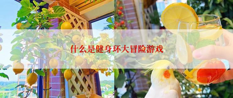 什么是健身环大冒险游戏