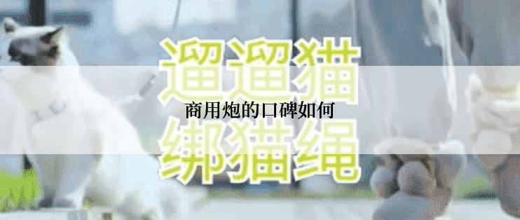 商用炮的口碑如何