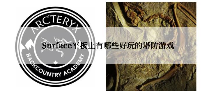 Surface平板上有哪些好玩的塔防游戏