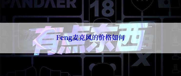 Feng麦克风的价格如何